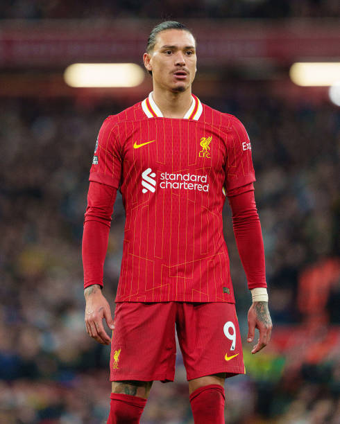 声与大人的 声与大人的