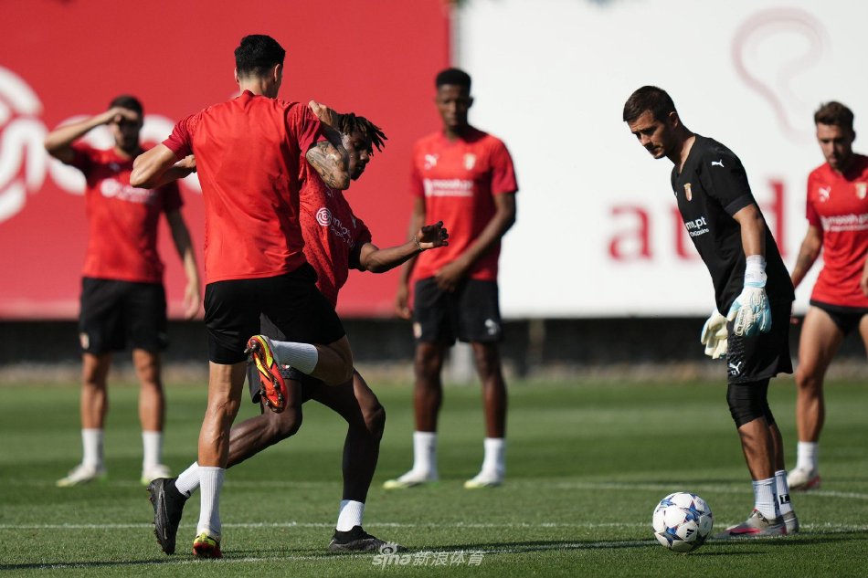 塔在晚年效 塔在晚年效